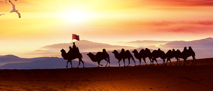 �󷢹�����(�й���)�ٷ�ƽ̨